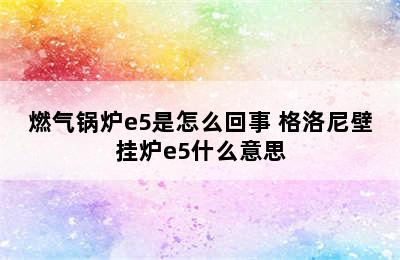 燃气锅炉e5是怎么回事 格洛尼壁挂炉e5什么意思